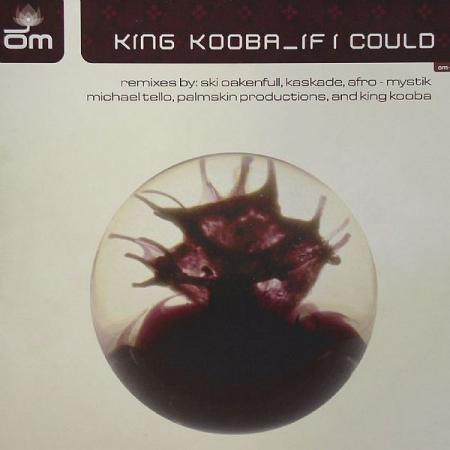 If I Could (Ski Oakenfull's Deep Rooted Mix) If I Could (Ski Oakenfull's Deep Rooted Mix)