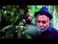 Bluey from Incognito - Hold On (Official Video)