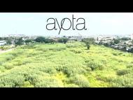 Ayota - Fading Fields